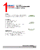 DSS-CSS Datasheet HTML 1Page - DOMINANT Semiconductors 