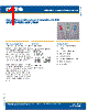 C4SMD-RGF Datasheet HTML 1Page - Cree, Inc 