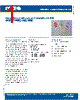 C4SMT-RJS Datasheet HTML 1Page - Cree, Inc 