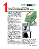 PLC-RSP-24UC/21 Datasheet HTML 1Page - PHOENIX CONTACT 