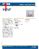 CP43T-RGS Datasheet HTML 1Page - Cree, Inc 