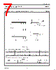 N74F393D Datasheet HTML 7Page - NXP Semiconductors 
