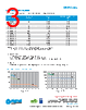 SFAPI Datasheet HTML 3Page - Bel Fuse Inc. 