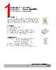 DWB-SJS-R1 Datasheet HTML 1Page - DOMINANT Semiconductors 