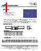 MF1302T-R56 Datasheet HTML 1Page - ECM Electronics Limited. 