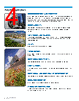 BZ-RX Datasheet HTML 4Page - Honeywell Solid State Electronics Center 
