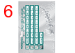 9319/30 Datasheet HTML 6Page - Carclo Technical Plastics Limited 