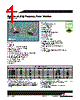 HCP0704-R40-R Datasheet HTML 1Page - Cooper Bussmann, Inc. 