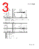 TC74VCX2573FT Datasheet HTML 3Page - Toshiba Semiconductor 