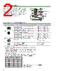 B40-2F30-RNW Datasheet HTML 2Page - Magnetrol International, Inc. 