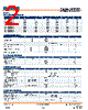 AM3T-RZ Datasheet HTML 2Page - AIMTEC 