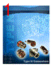 082-6097-RFX Datasheet HTML 1Page - Amphenol Corporation 