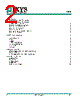 IX2204NETR Datasheet HTML 2Page - IXYS Corporation 