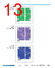 FP3-R47-R Datasheet HTML 13Page - Vicor Corporation 