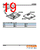 LUWF8BN-P2P3-R Datasheet HTML 19Page - OSRAM GmbH 
