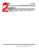 TTL-232R-RPI Datasheet HTML 2Page - Future Technology Devices International Ltd. 