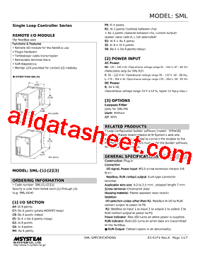SML-R2-R Datasheet PDF - M-System Co.,Ltd.